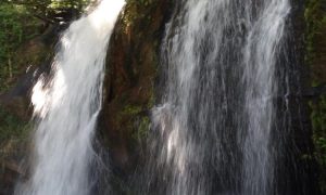 A-Historia-da-Tenda-de-Umbanda-Pena-Branca-Lendas-e-Curiosidades-Locais-1