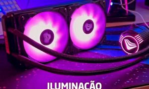 IMG_3379
